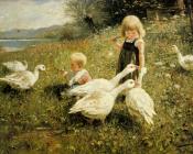 Max Gansefutterung - 亚历山大·凯斯特